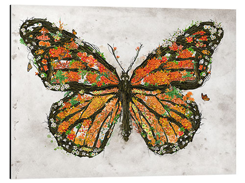 Aluminium print Monarch Butterfly