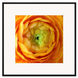 Impression artistique encadrée Fleur douce