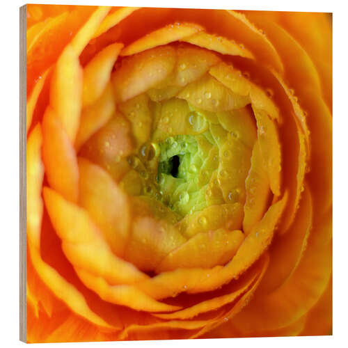 Wood print Soft flower
