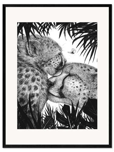 Impresión de arte enmarcada Amor guepardo