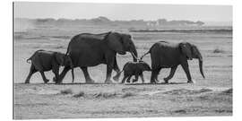 Tableau en plexi-alu Courir en famille