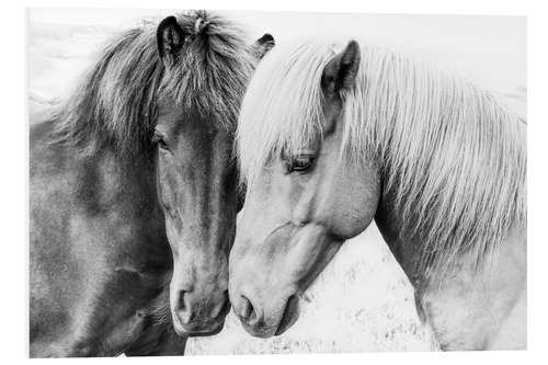 PVC-taulu Cuddling Ponies