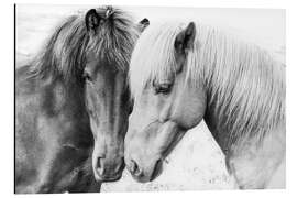 Magnettafel Kuschelnde Ponys
