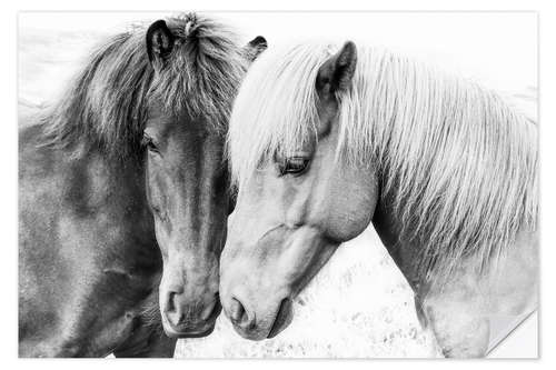 Wall sticker Cuddling Ponies