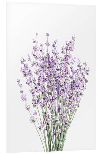 PVC-taulu Fragrant Lavender