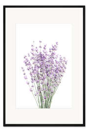 Gerahmter Kunstdruck Duftender Lavendel