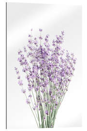 Galleriprint Lavendel