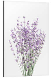 Magnettafel Duftender Lavendel