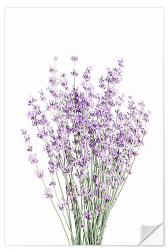 Wandsticker Duftender Lavendel