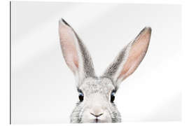 Gallery print Cute, Curious Rabbit