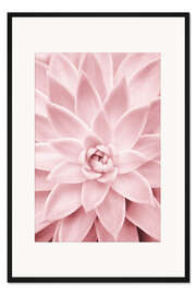 Gerahmter Kunstdruck Rosafarbene Sukkulente
