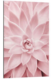 Magnettafel Rosafarbene Sukkulente