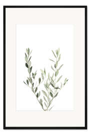 Gerahmter Kunstdruck Olivenzweig