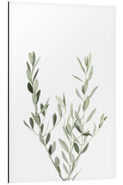 Magnettafel Olivenzweig