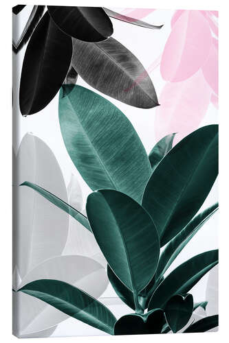 Canvas print Rubber Tree Collage