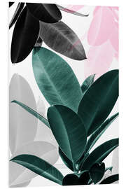 Foam board print Rubber Tree Collage