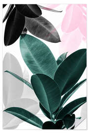 Sisustustarra Rubber Tree Collage