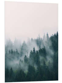 Foam board print Misty Forest