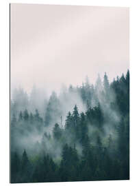 Gallery print Misty Forest