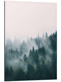 Magnettafel Nebelwald