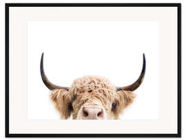 Gerahmter Kunstdruck Kuscheliges Hochlandrind