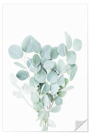 Wall sticker Eucalyptus Branches