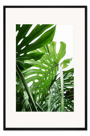 Gerahmter Kunstdruck Üppige Monstera