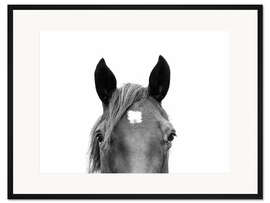Gerahmter Kunstdruck Pferdeporträt