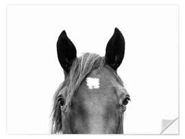 Wall sticker Horse Portrait