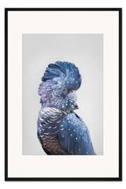 Gerahmter Kunstdruck Blauer Papagei