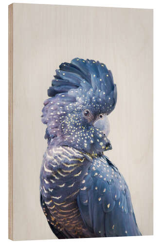 Wood print Blue Parrot