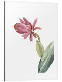 Aluminium print Blooming cactus in pink