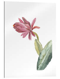 Gallery print Blooming cactus in pink