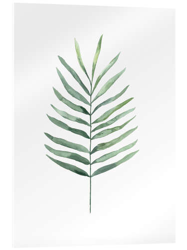 Acrylic print Palm leaf