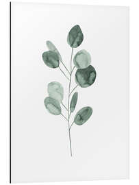 Aluminium print Eucalyptus Branch