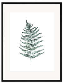 Gerahmter Kunstdruck Silberfarn