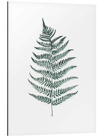 Magnettafel Silberfarn