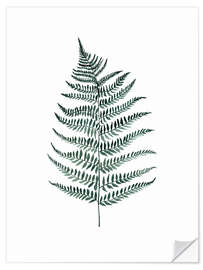 Wall sticker Silverfern