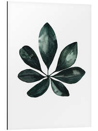 Aluminium print Schefflera