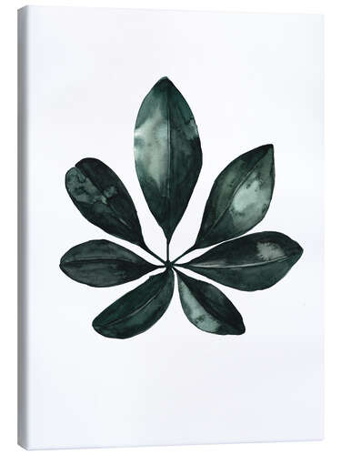 Canvas print Schefflera