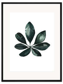Gerahmter Kunstdruck Schefflera