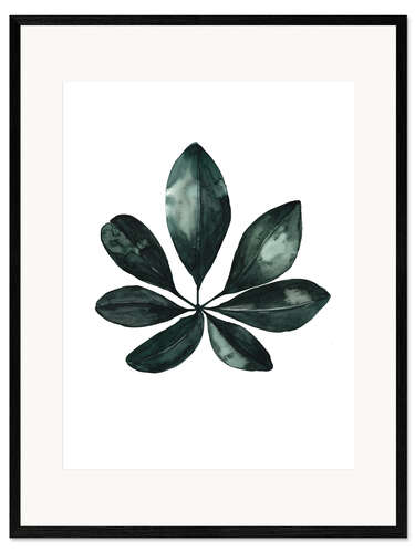 Kehystetty taidepainatus Schefflera