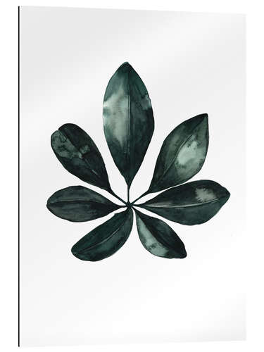 Gallery print Schefflera