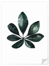 Wall sticker Schefflera