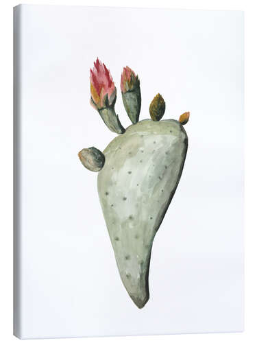 Tableau sur toile Cactus en fleur