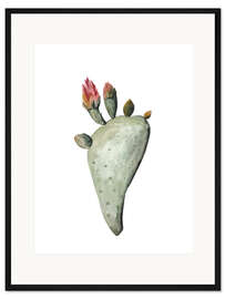 Gerahmter Kunstdruck Blühender Kaktus