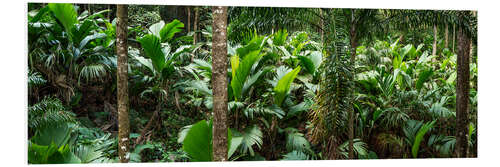 Foam board print The vastness of the rainforest