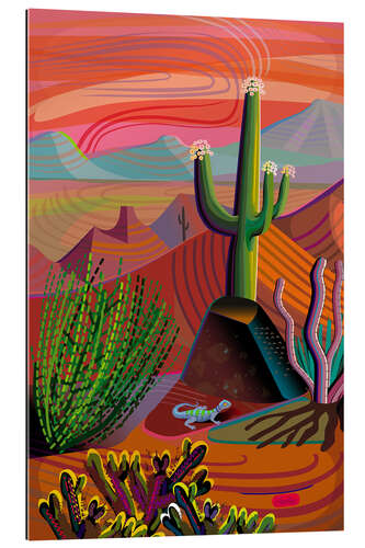 Galleriprint Gila River Desert Sunset