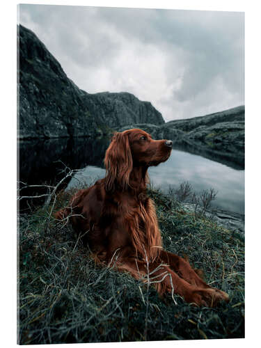 Acrylic print Enjoying the landscape