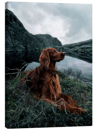 Lærredsbillede Enjoying the landscape